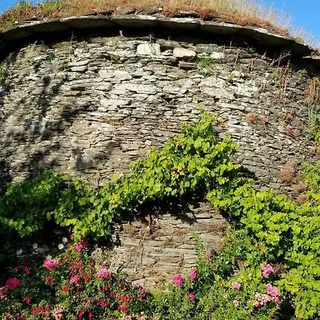 Maison d'hôtes Domaine De La Gaudinais